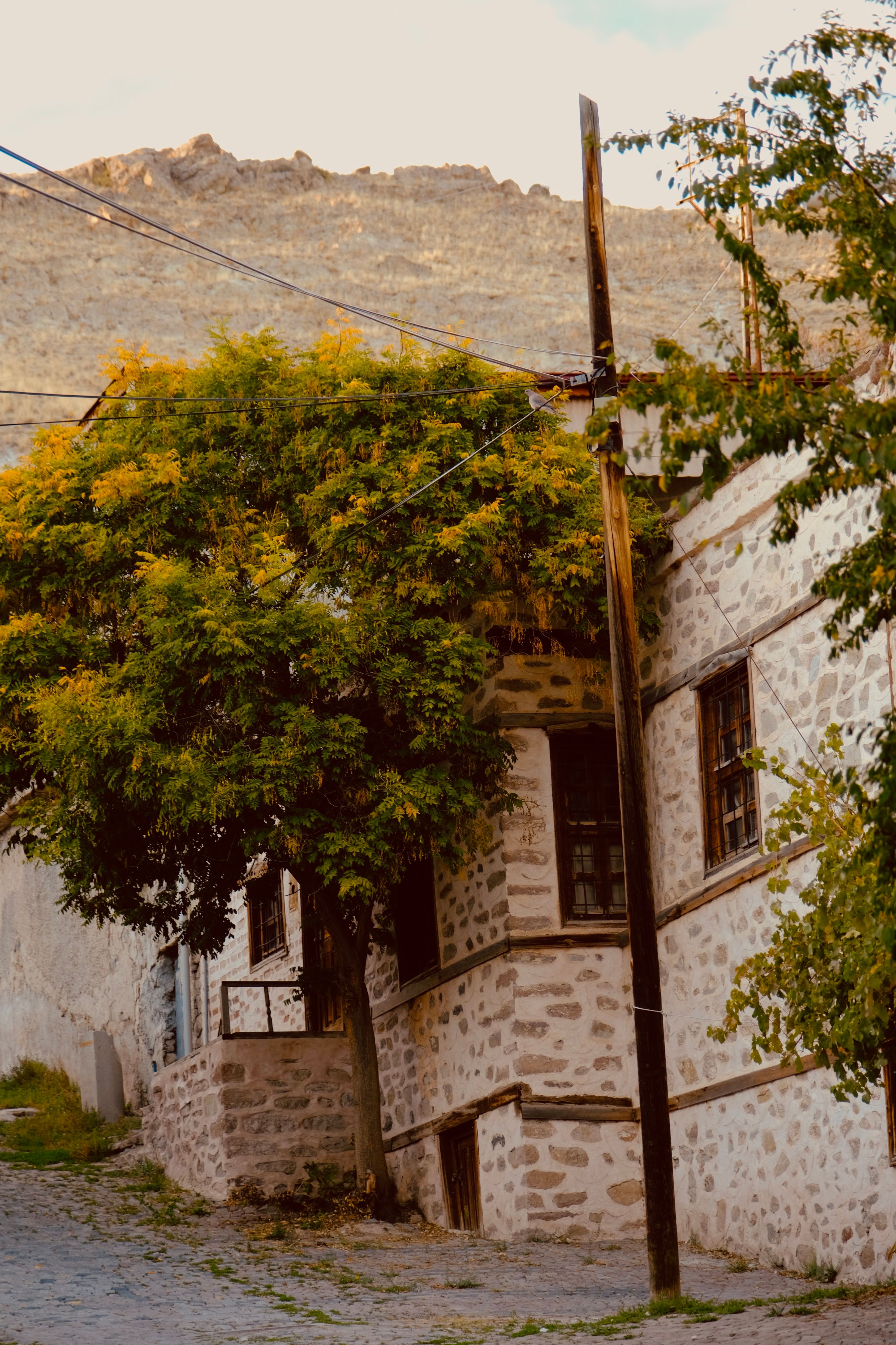 Charming Stone House with Autumn Tree in Historical Village · Free ...