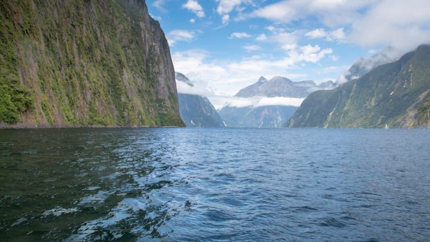 Milford Sound, New Zealand photo 16