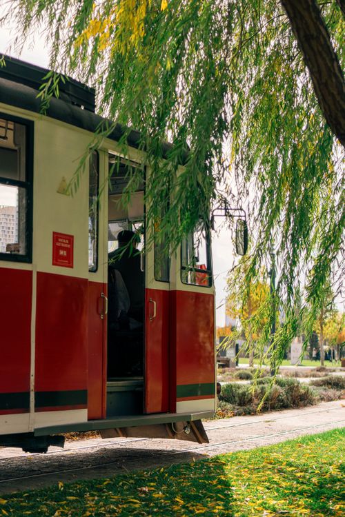 Free A vintage red tram moves through a park with autumn leaves and green trees. Stock Photo