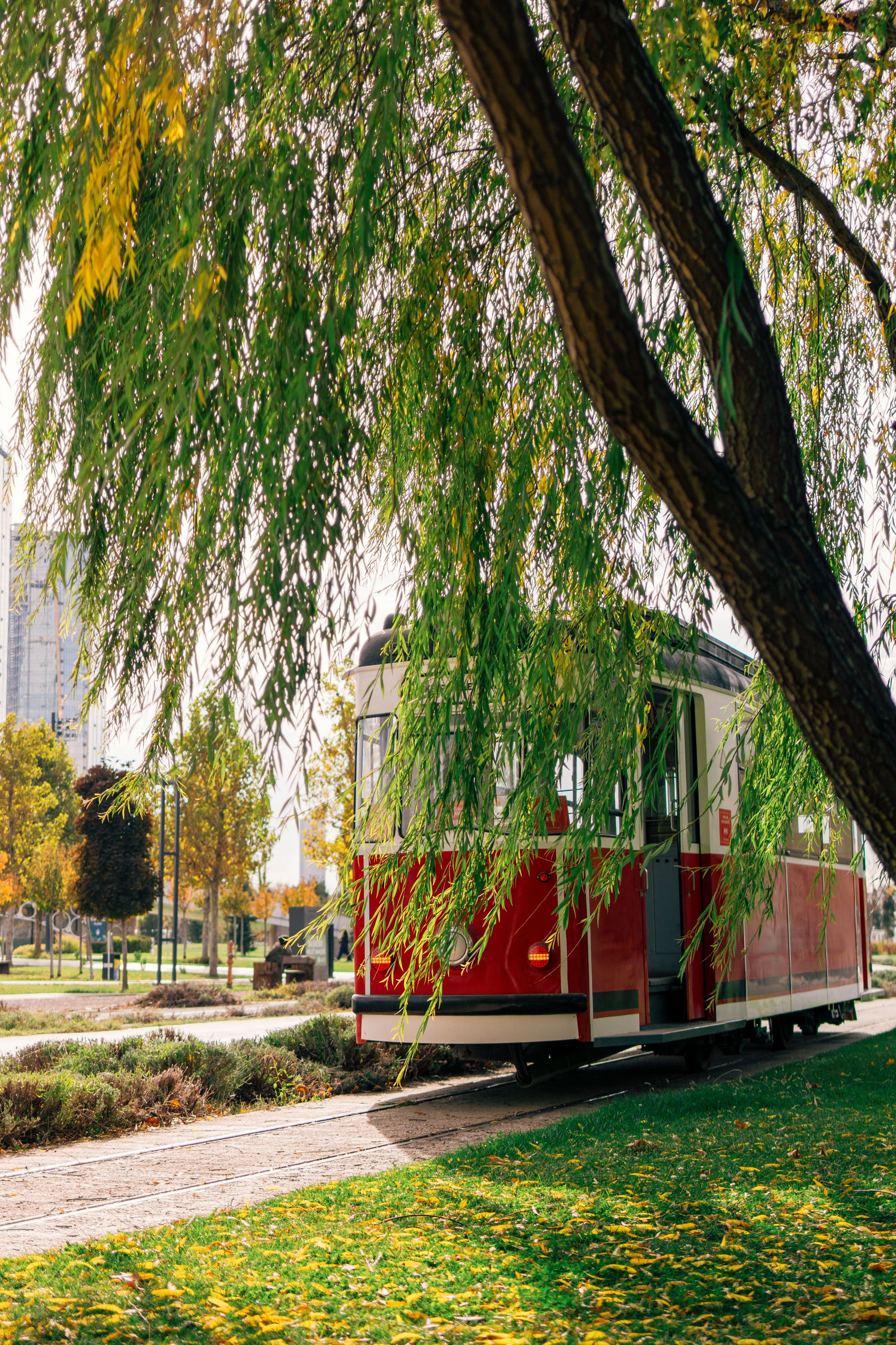 Red Tram Under Autumn Trees in Park Setting · Free Stock Photo