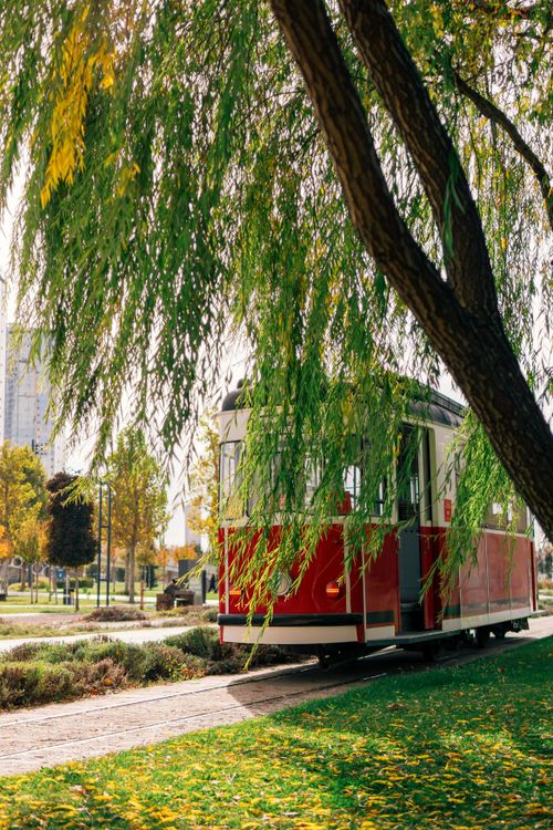 Free Classic red tram passing under autumn foliage in a vibrant park setting. Stock Photo