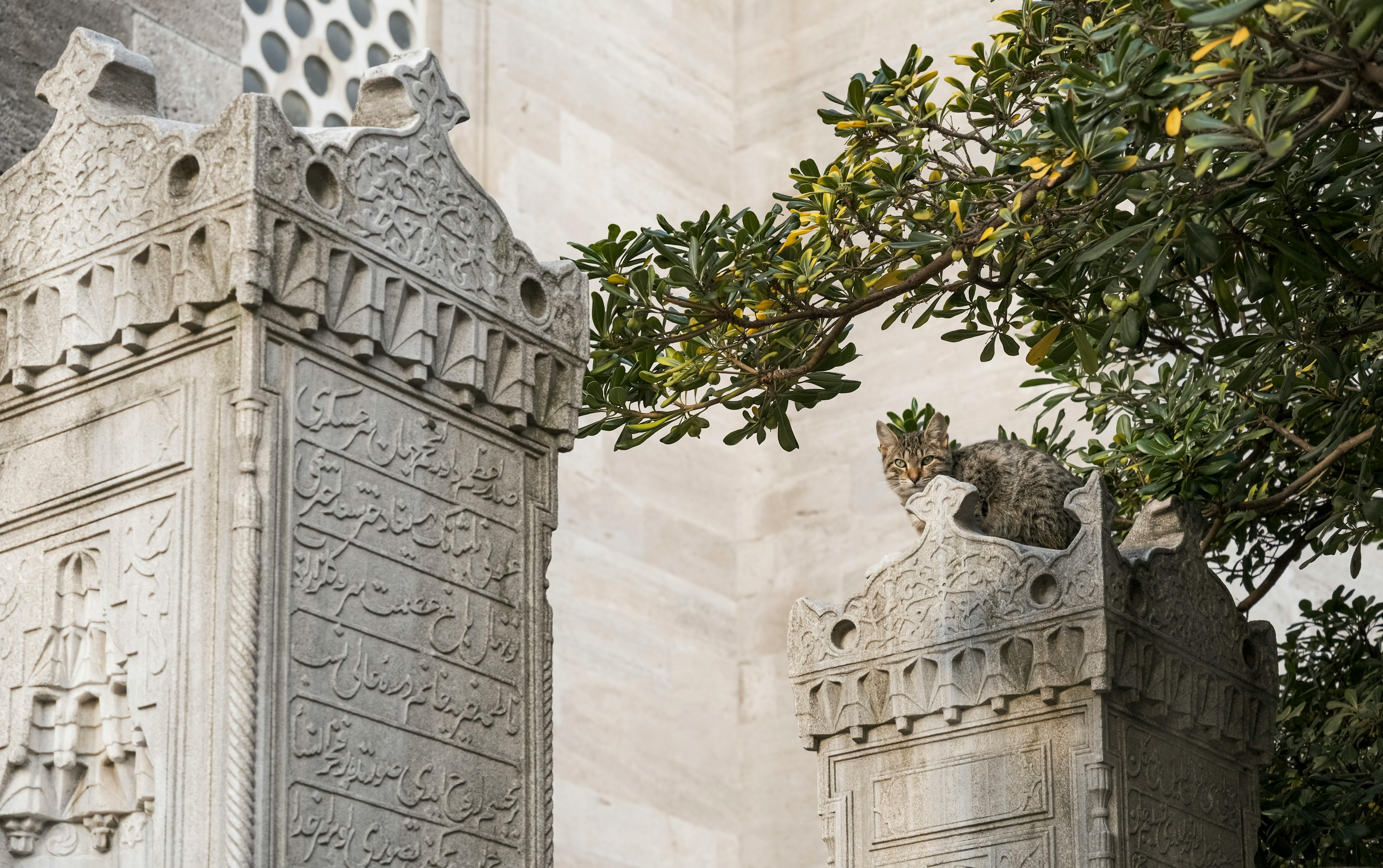 Unlock the Unknown Benefits of Ancient Superfoods