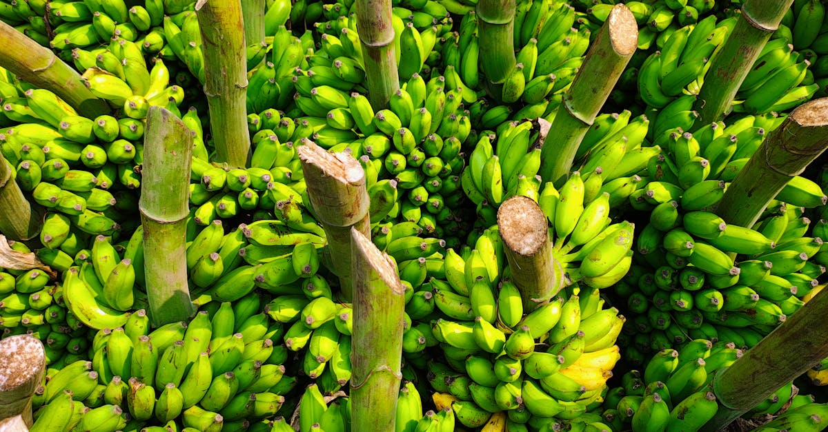 投資人看好美中貿易休兵 國際油價維持穩定