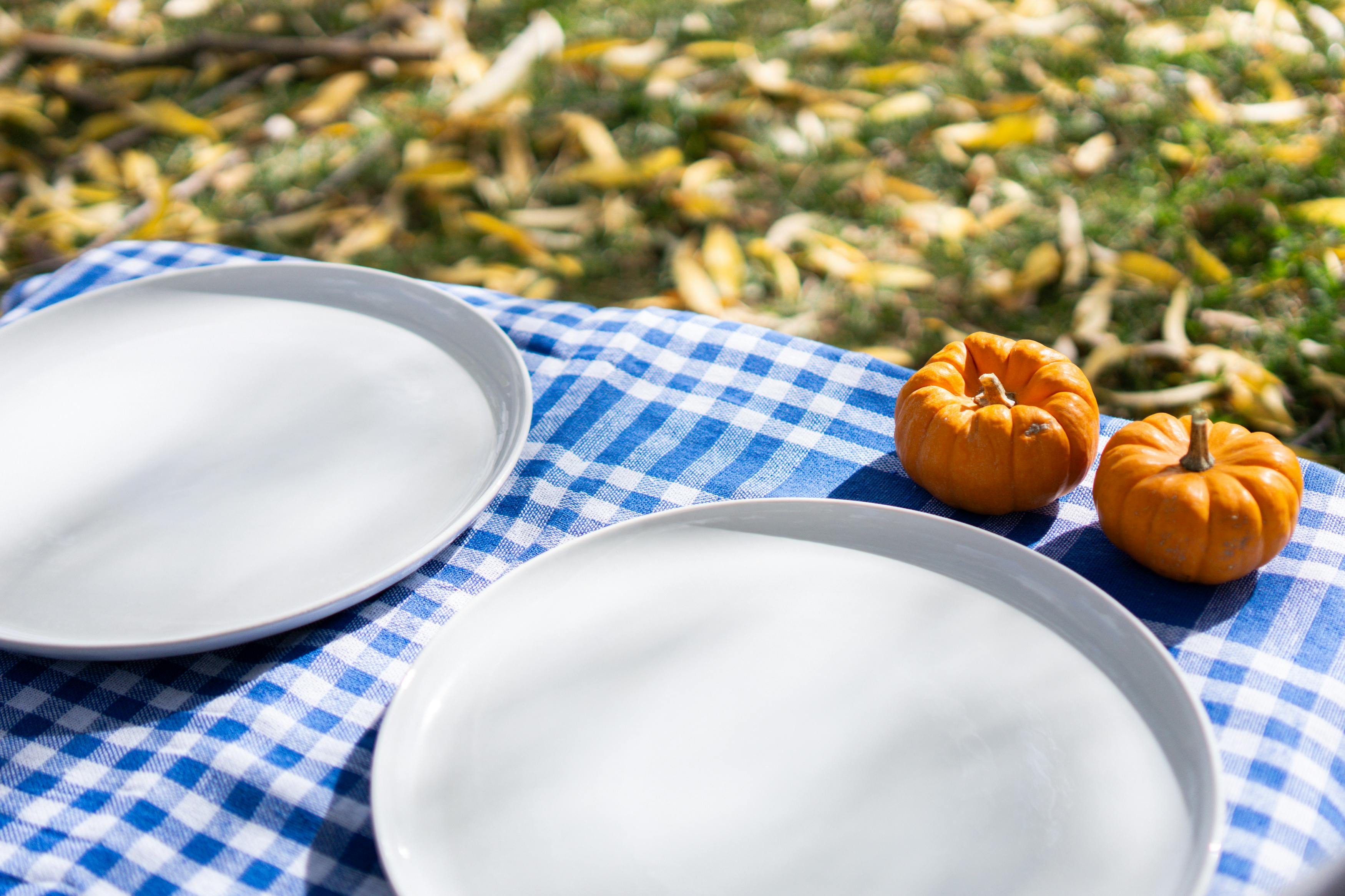 A vibrant autumn picnic scene with pumpkins on a blue checkered cloth set outdoors.