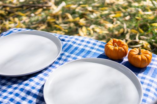 Free A vibrant autumn picnic scene with pumpkins on a blue checkered cloth set outdoors. Stock Photo