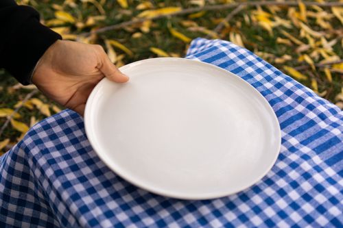 Free Hand holding an empty white plate over a blue checkered tablecloth in an outdoor setting, perfect for picnic themes. Stock Photo