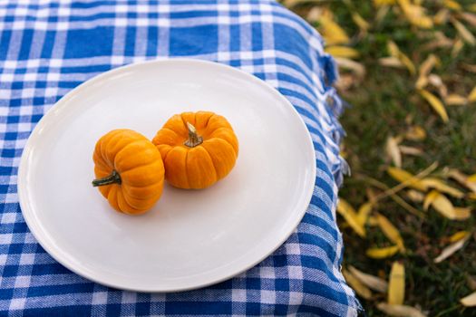 Two small pumpkins on a white plate with a blue checkered cloth, outdoors with a fall vibe.