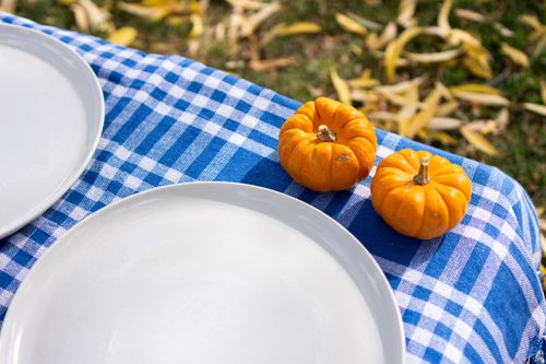 Free A cozy outdoor tabletop adorned with mini pumpkins and a blue checkered cloth. Stock Photo