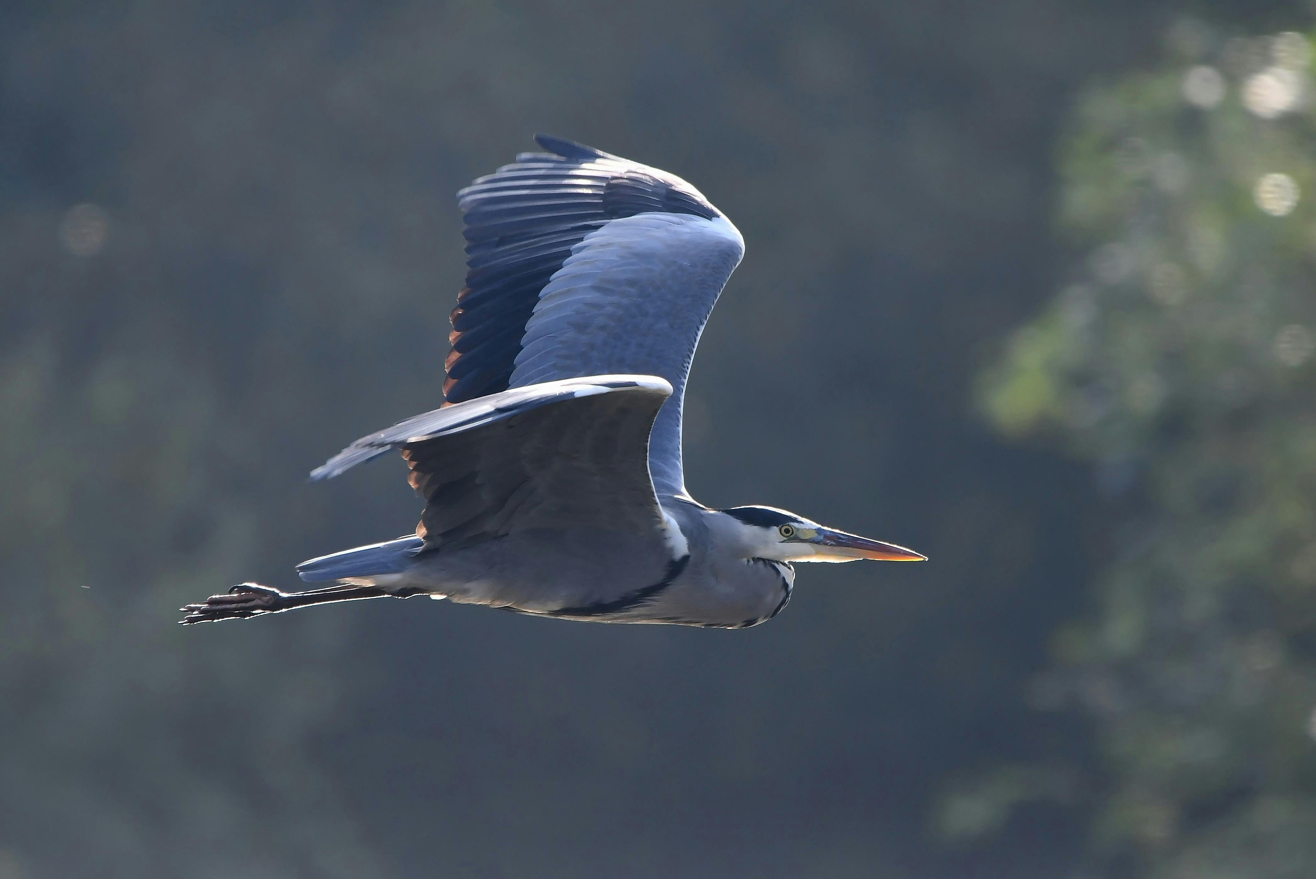 中港資產控英7.7兆 台媒揭可影響政治決策