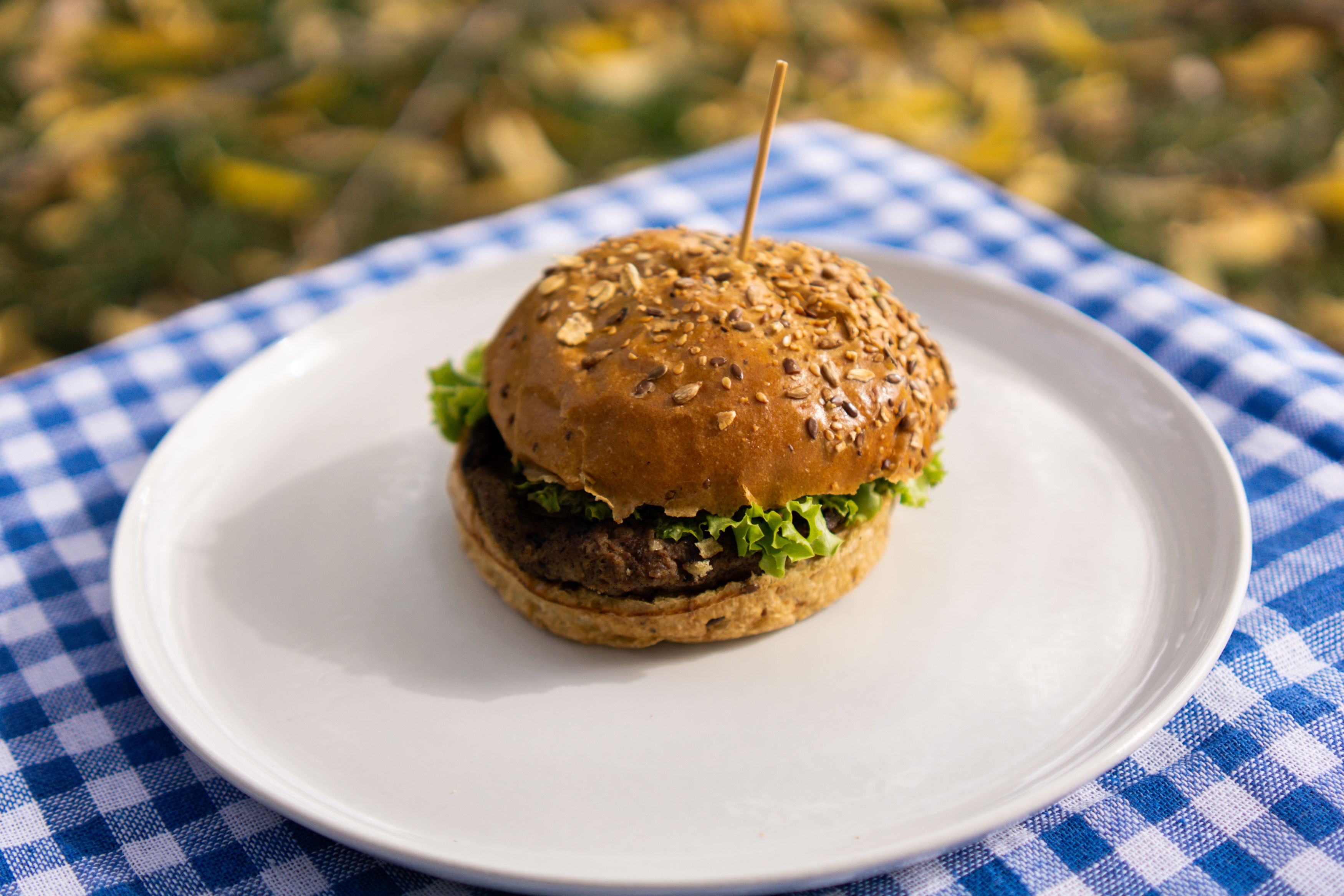 Juicy hamburger with lettuce on a seeded bun, perfect for an outdoor picnic.