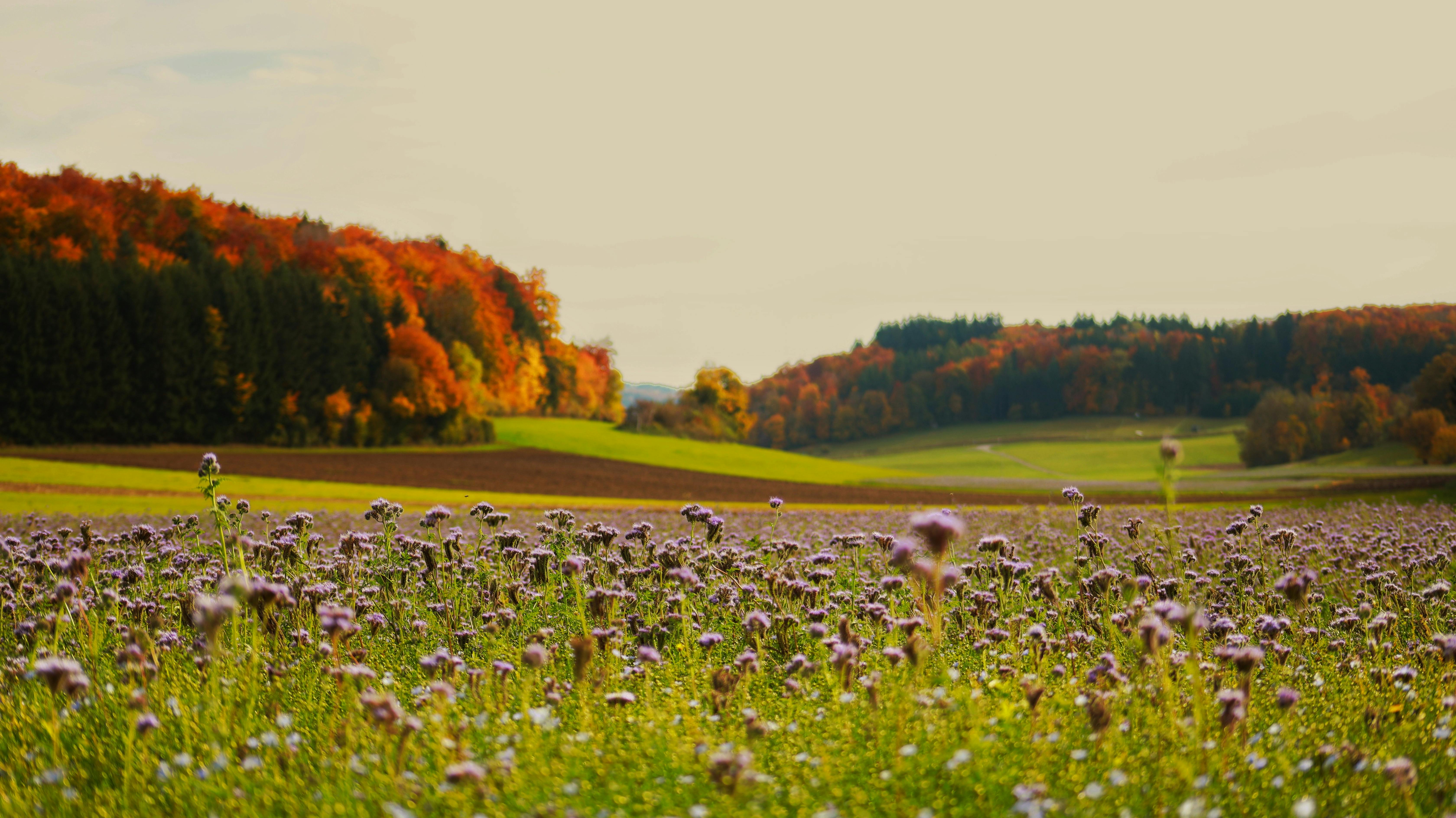 Image : Intuition Meets Impact: The Measurable Power of Thoughtful UX