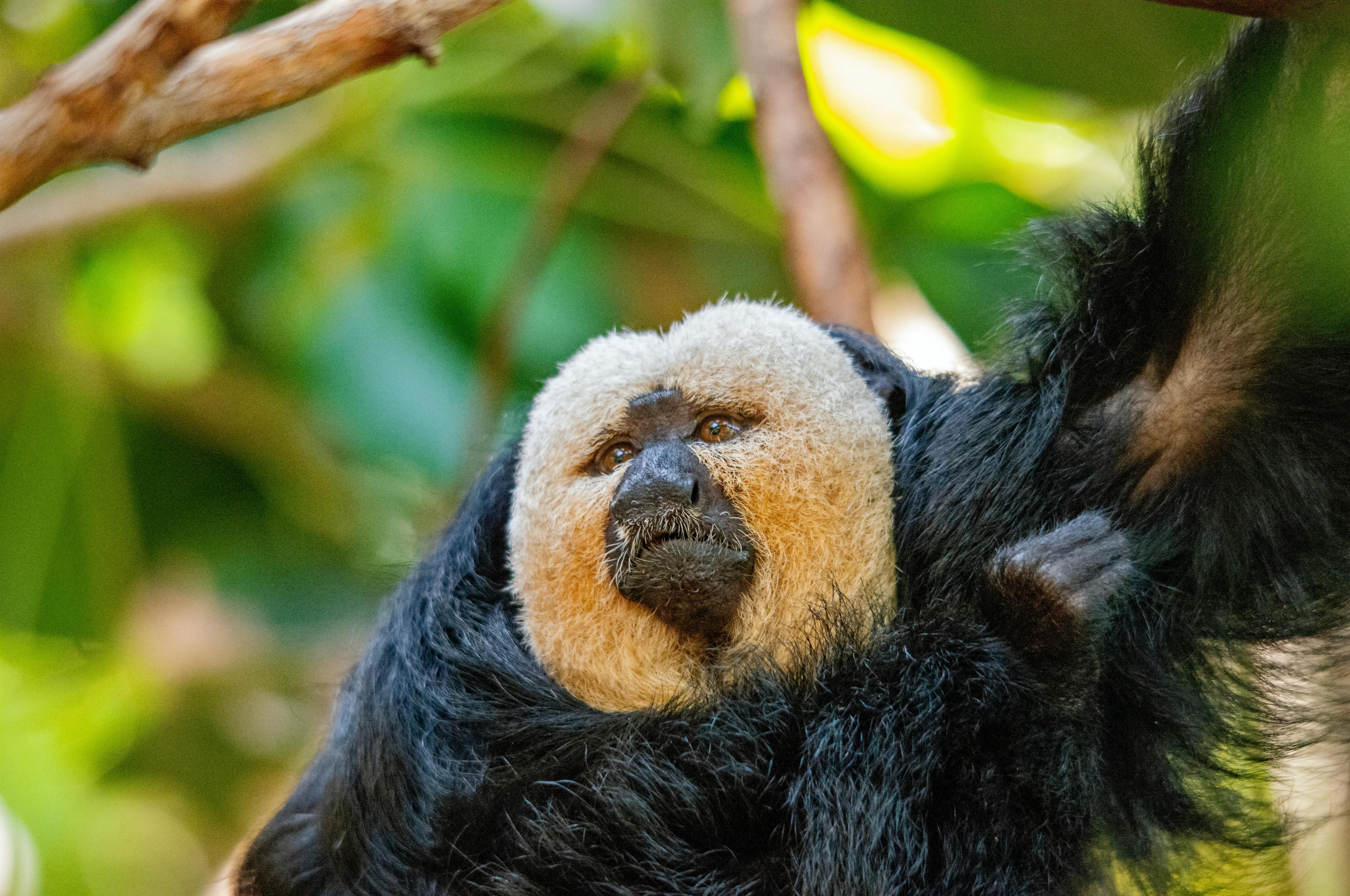 政治：德國外長推遲訪華 柏林強調持續尊重且良好交流