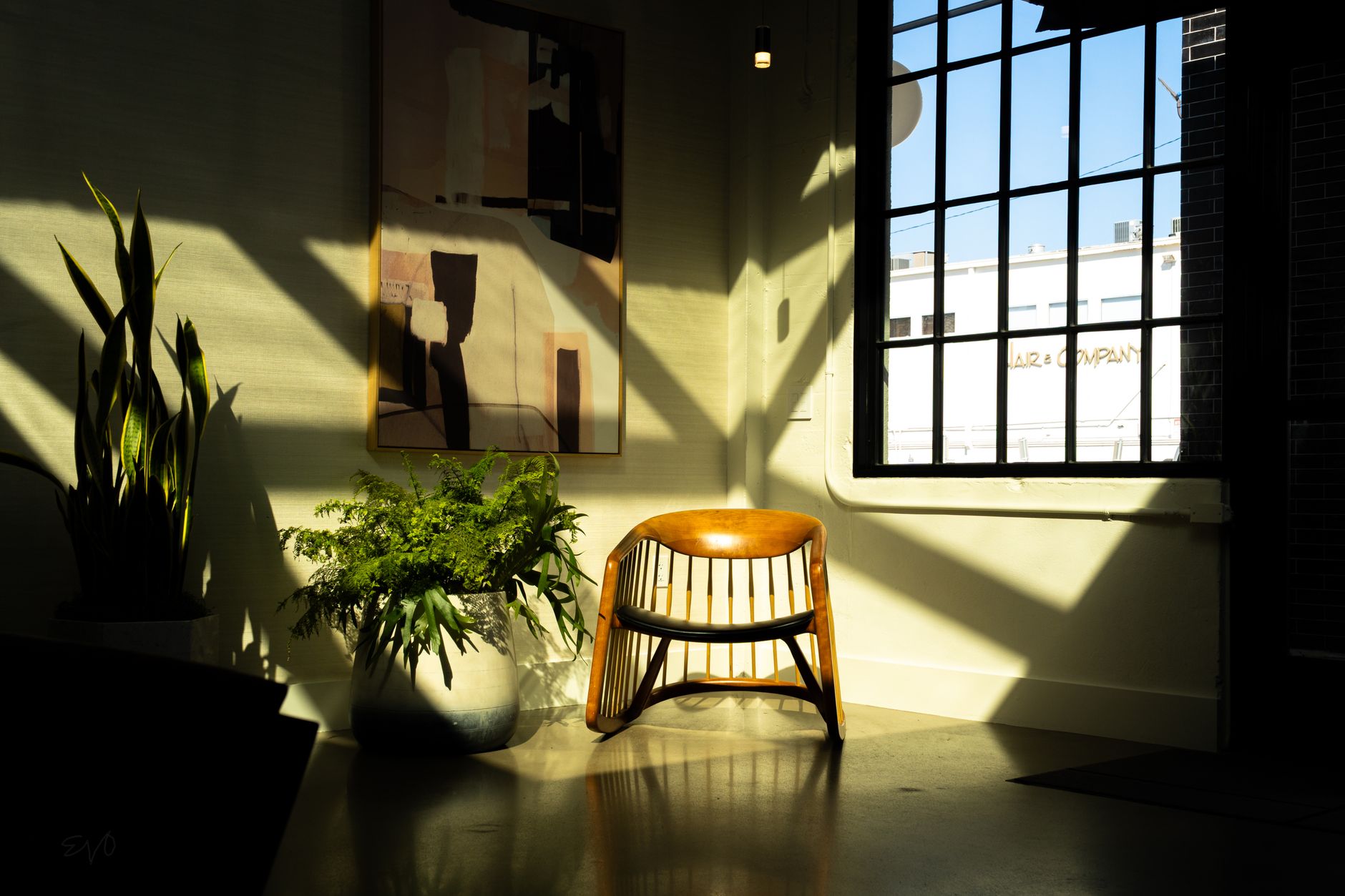 Stylish indoor scene in Houston with wooden chair and plants lit by sunlight.