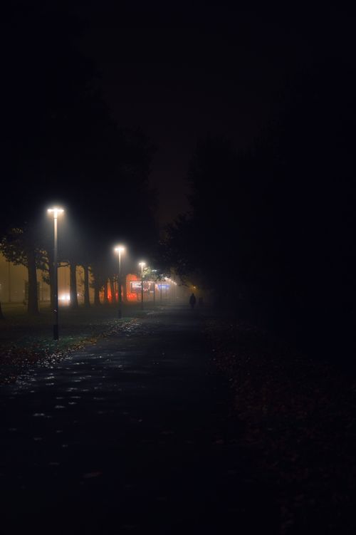 Free Dimly lit street at night with fog and glowing street lamps creating a moody atmosphere. Stock Photo