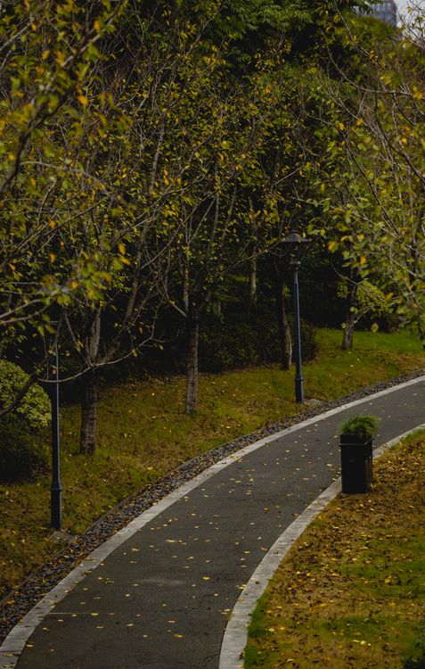 Scenic Autumn Pathway Through Park Trees · Free Stock Photo