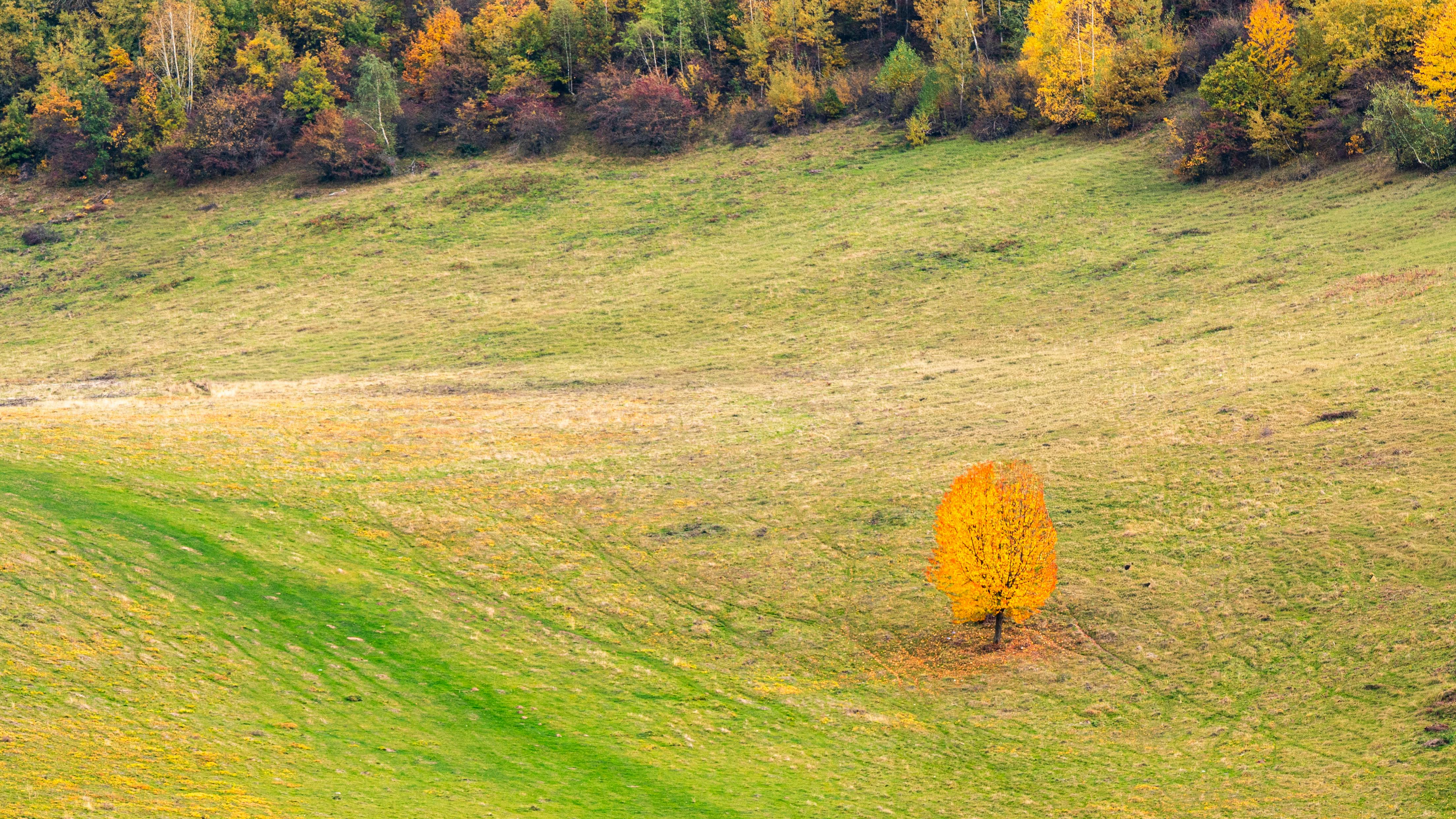 鄭敬淏靜生活哲學：懂得獨處，溫柔照顧真正的自己