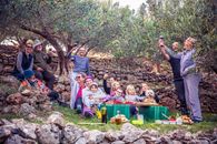 A joyful family gathering in an olive grove enjoying a picnic with wine toasts.