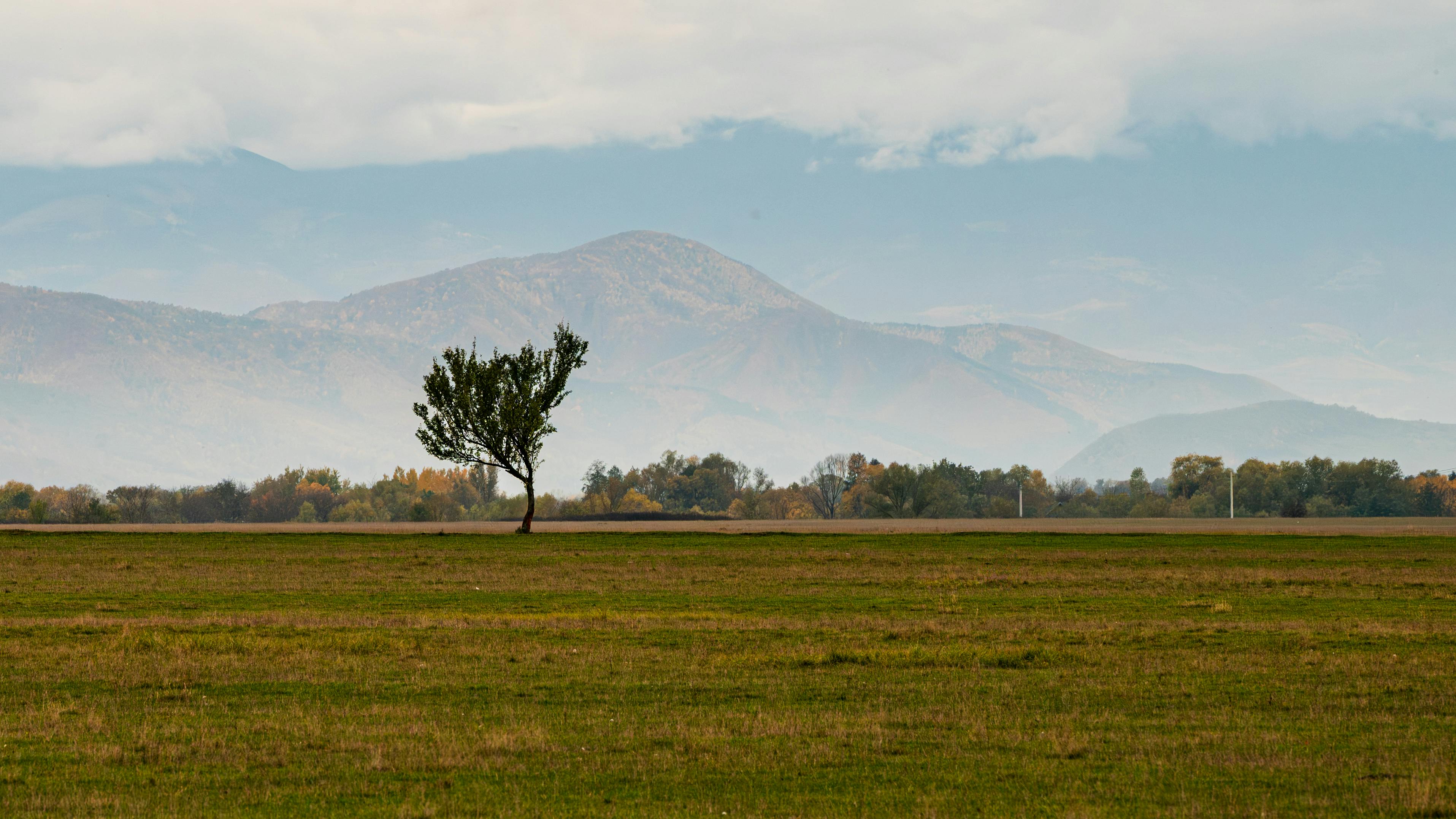 鄭敬淏靜生活哲學：懂得獨處，溫柔照顧真正的自己
