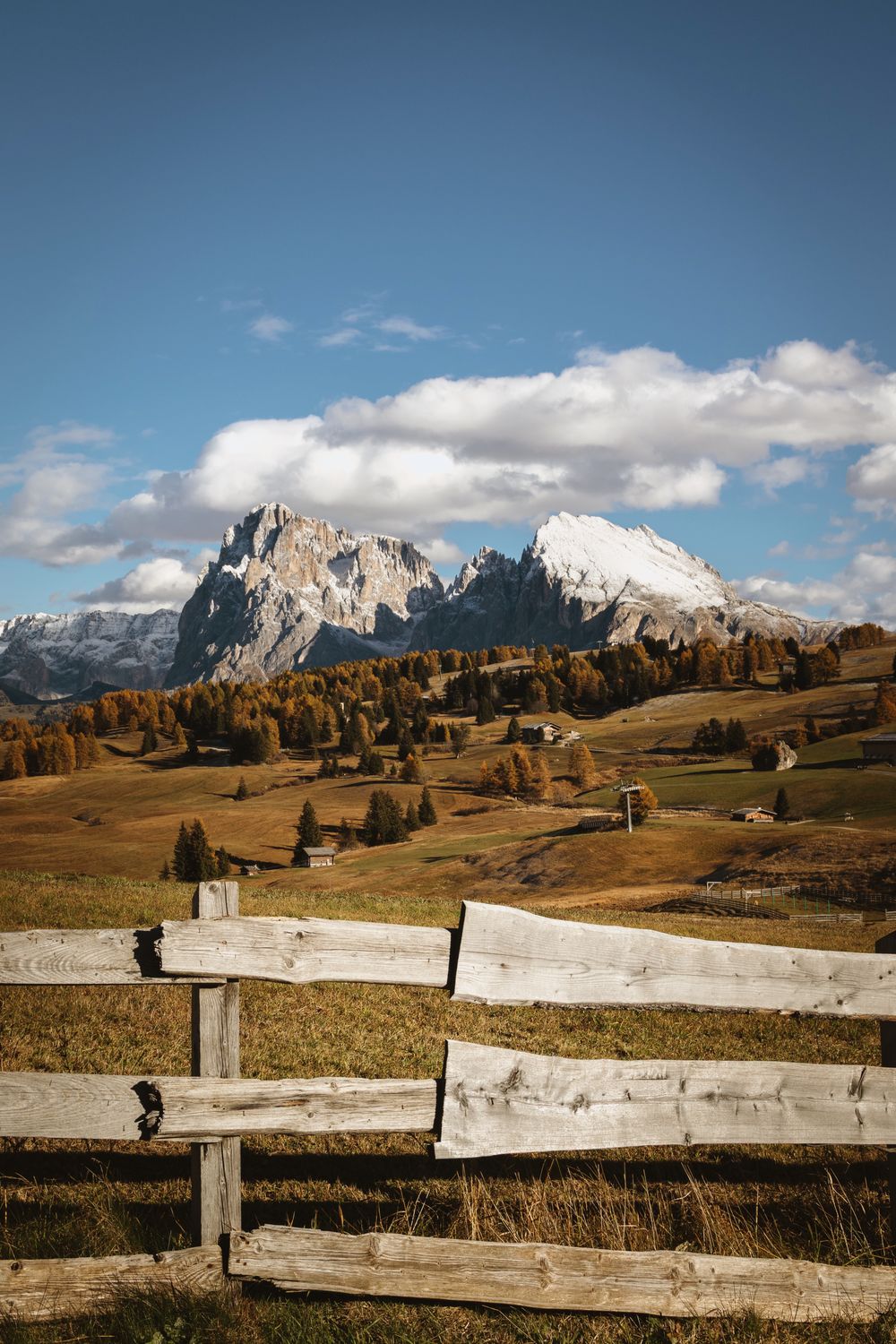 Alpe di Siusi toamna, cu iarba aurie și Dolomiții în lumina dimineții