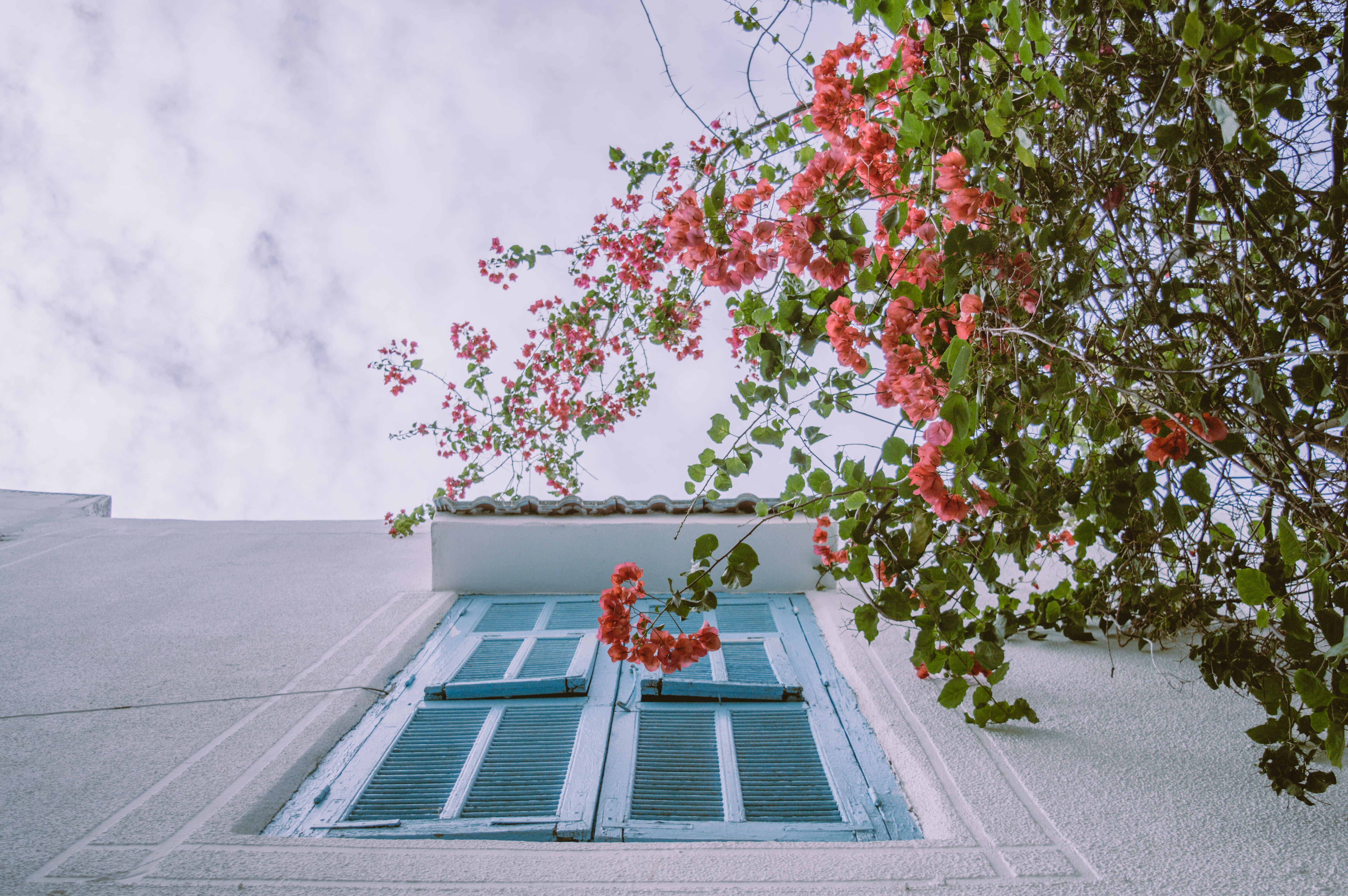 Foto de stock gratuita sobre afuera, aire libre, al aire libre