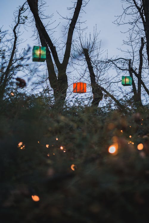 Gratis arkivbilde med julebakgrunnsbilde