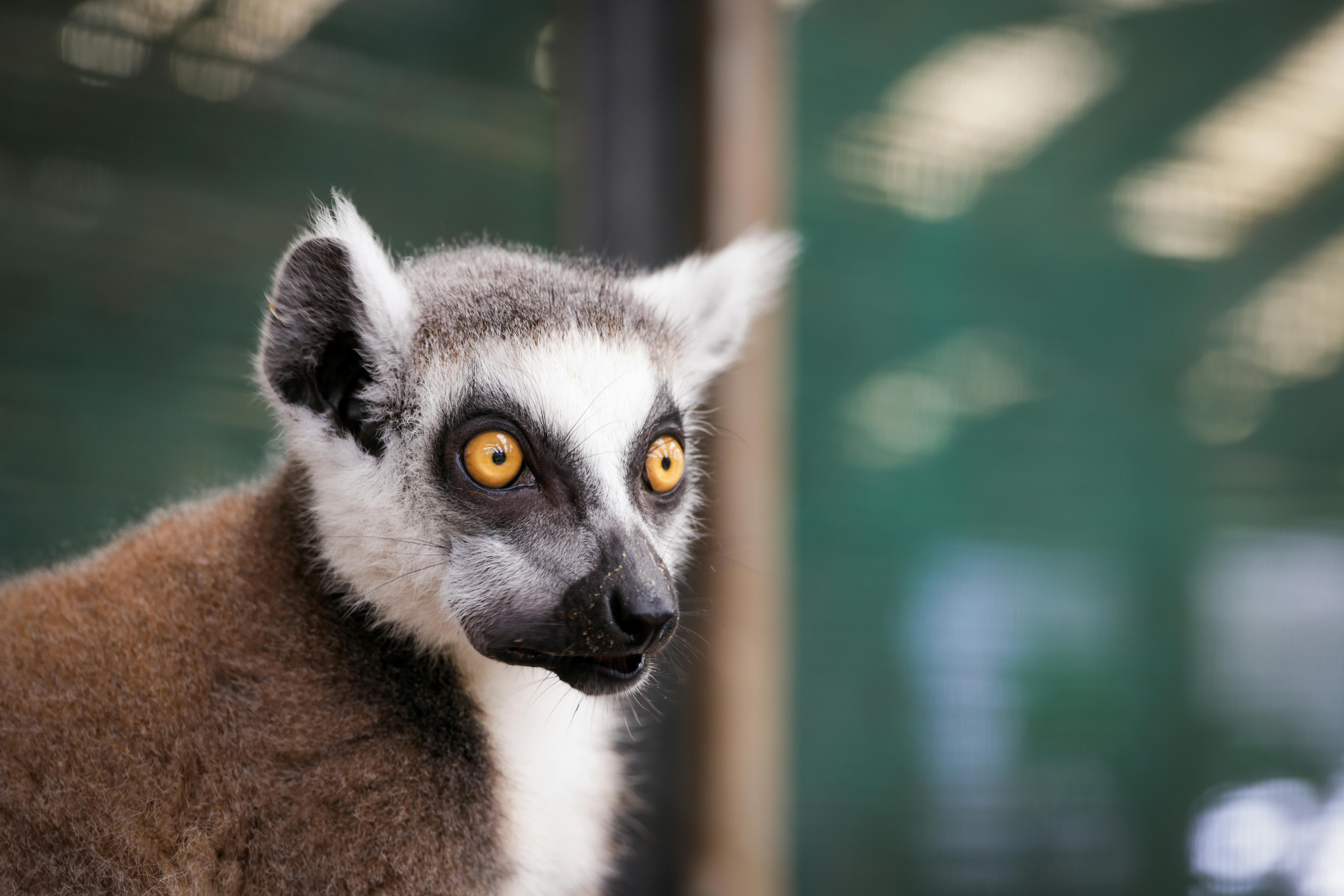 行政院洗錢防制辦公室動物園宣導 金融防線從生活做起