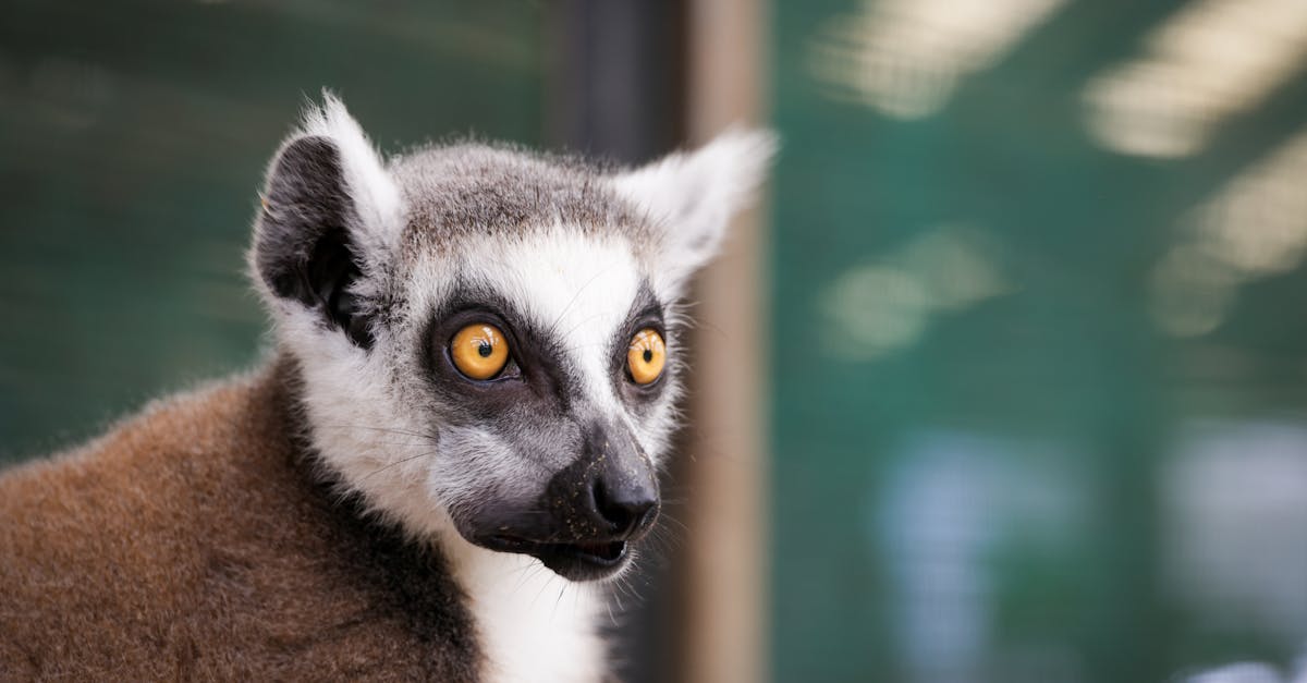行政院洗錢防制辦公室動物園宣導 金融防線從生活做起