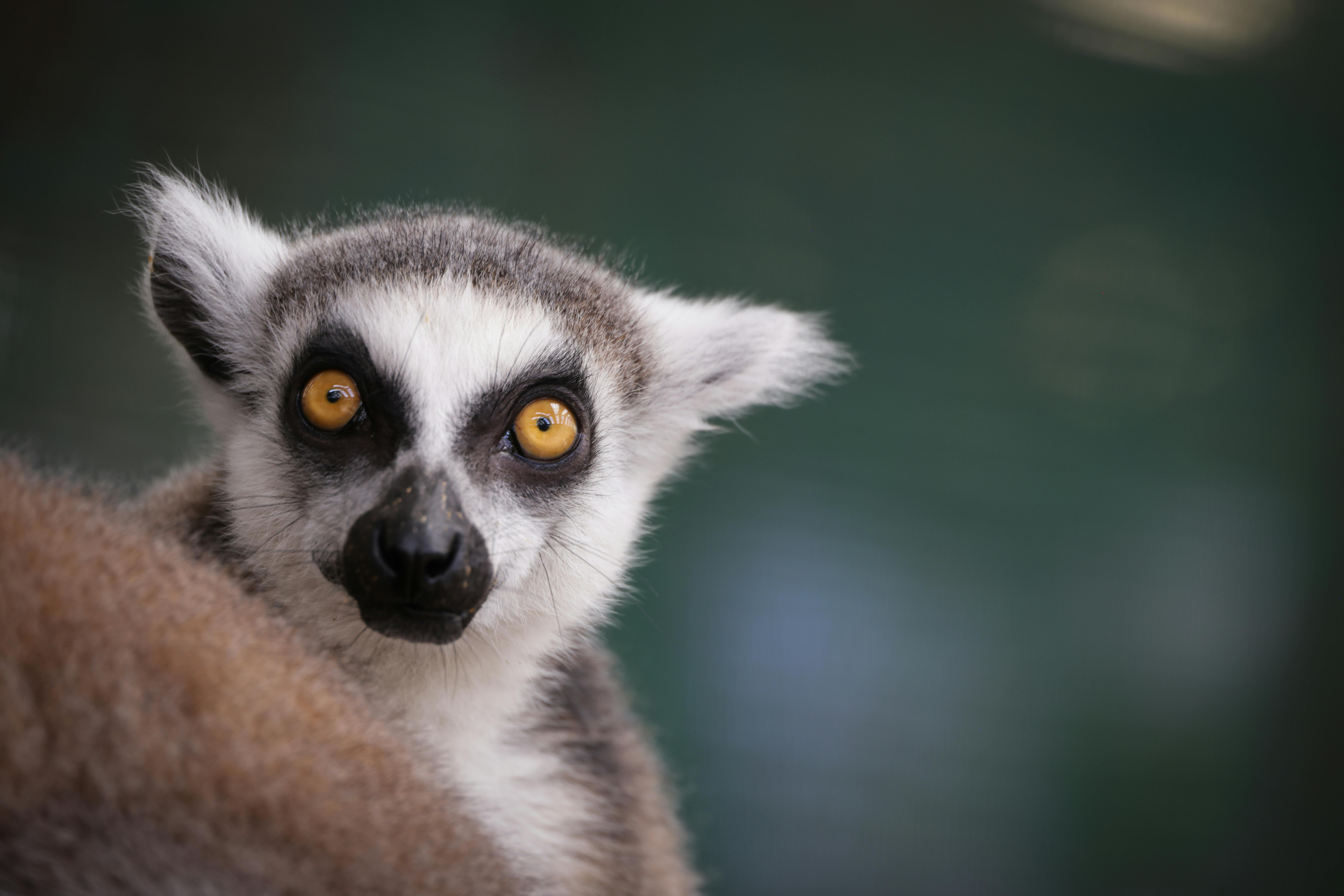 行政院洗錢防制辦公室動物園宣導 金融防線從生活做起