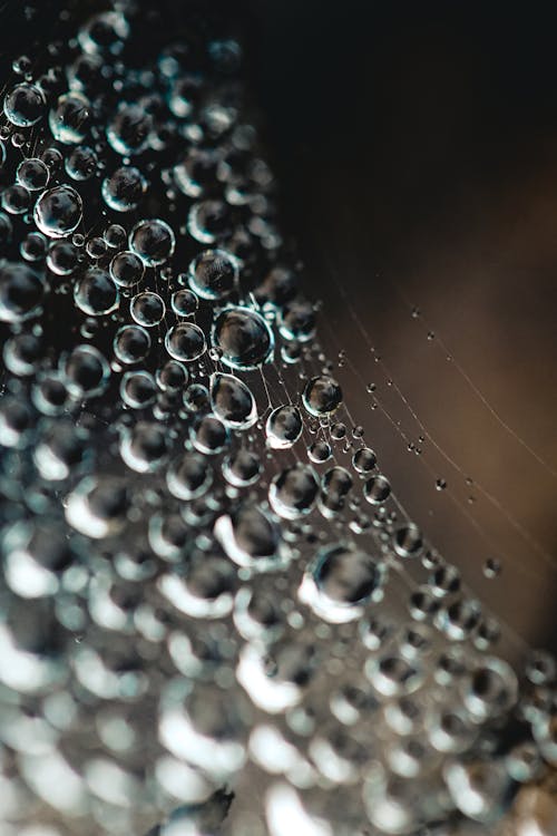 Water Bubbles