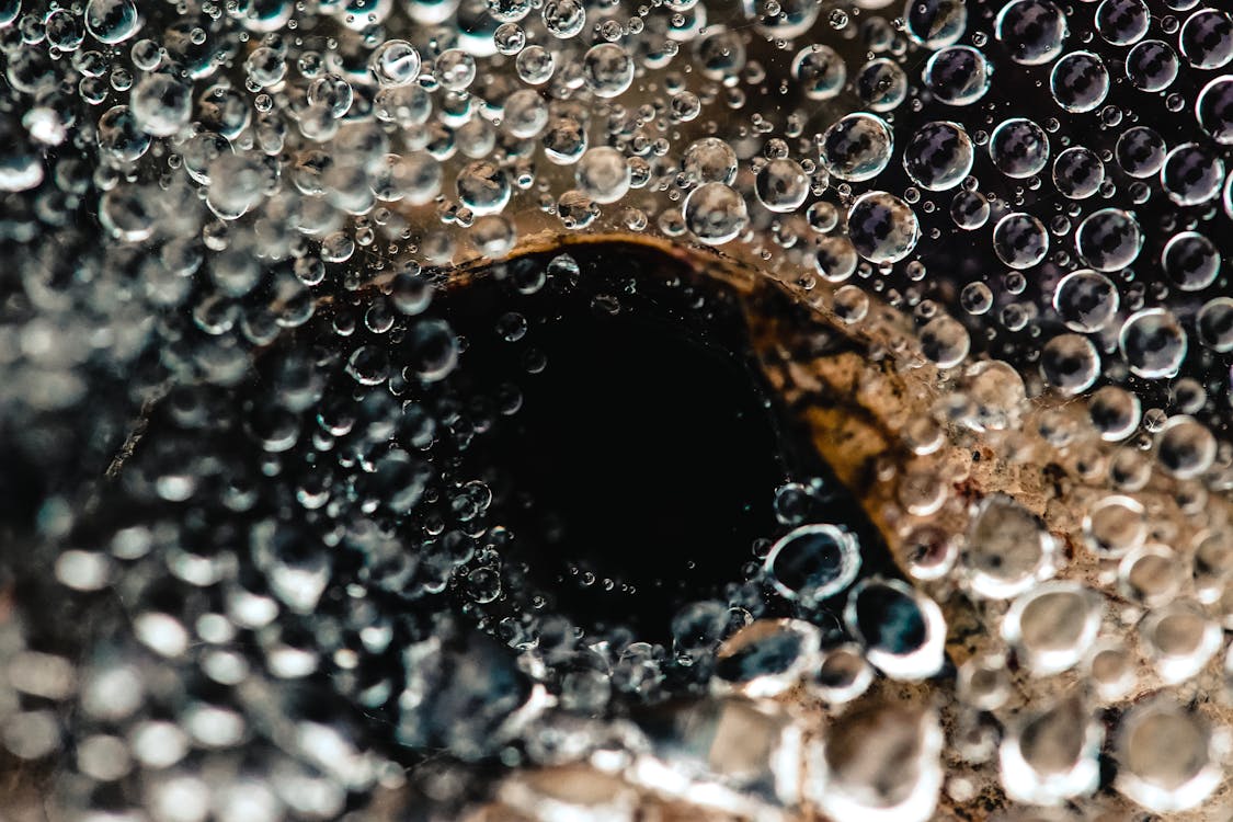 Water Bubbles In Close-Up View