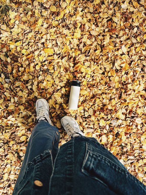 Free A person in sneakers stands on fall leaves with a bottle for a seasonal view. Stock Photo