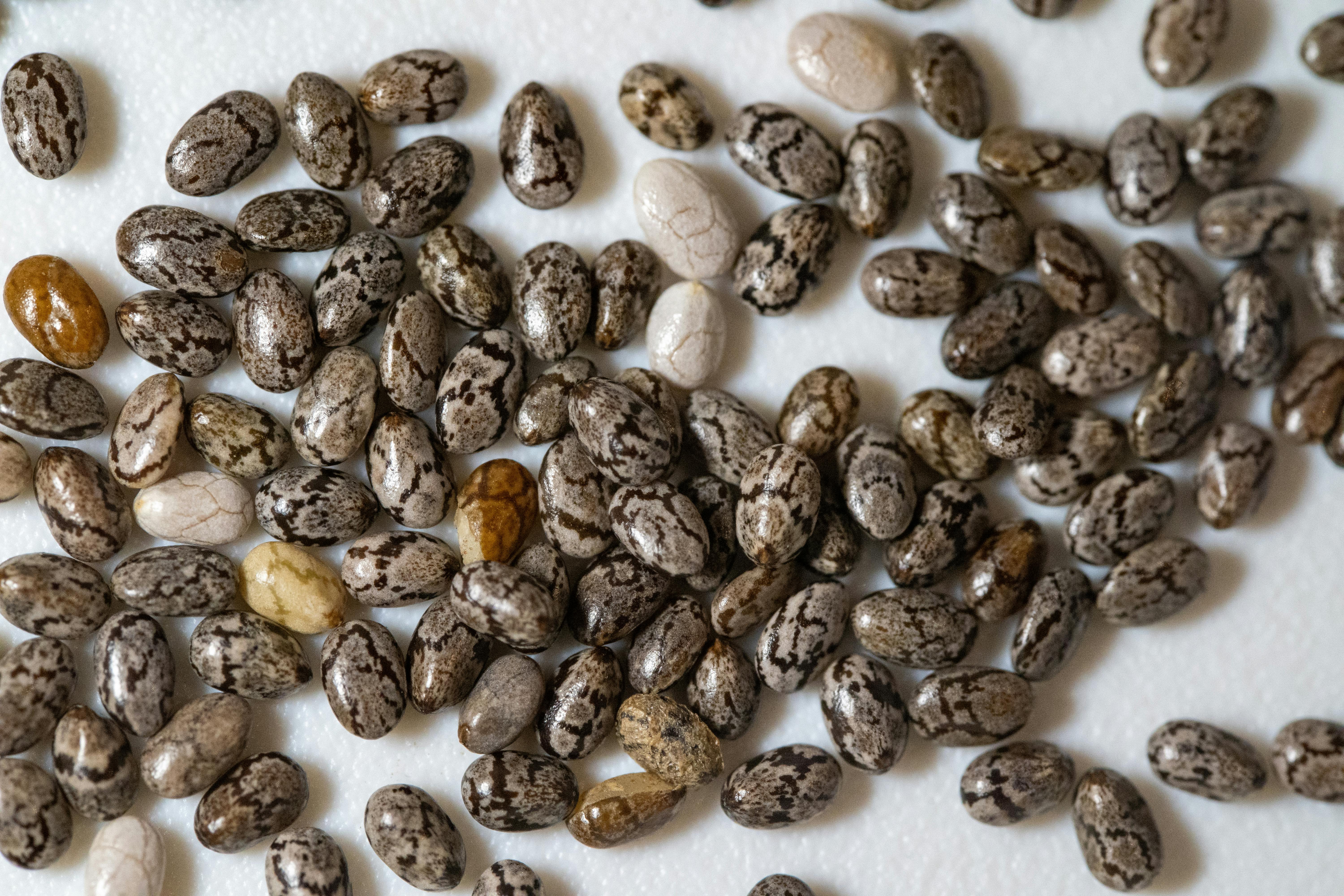 The Unexpected Link Between Superfoods and Mental Clarity