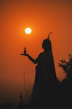 Silhouette of a woman holding a figurine against a vivid sunset backdrop.. silhouette, woman, holding