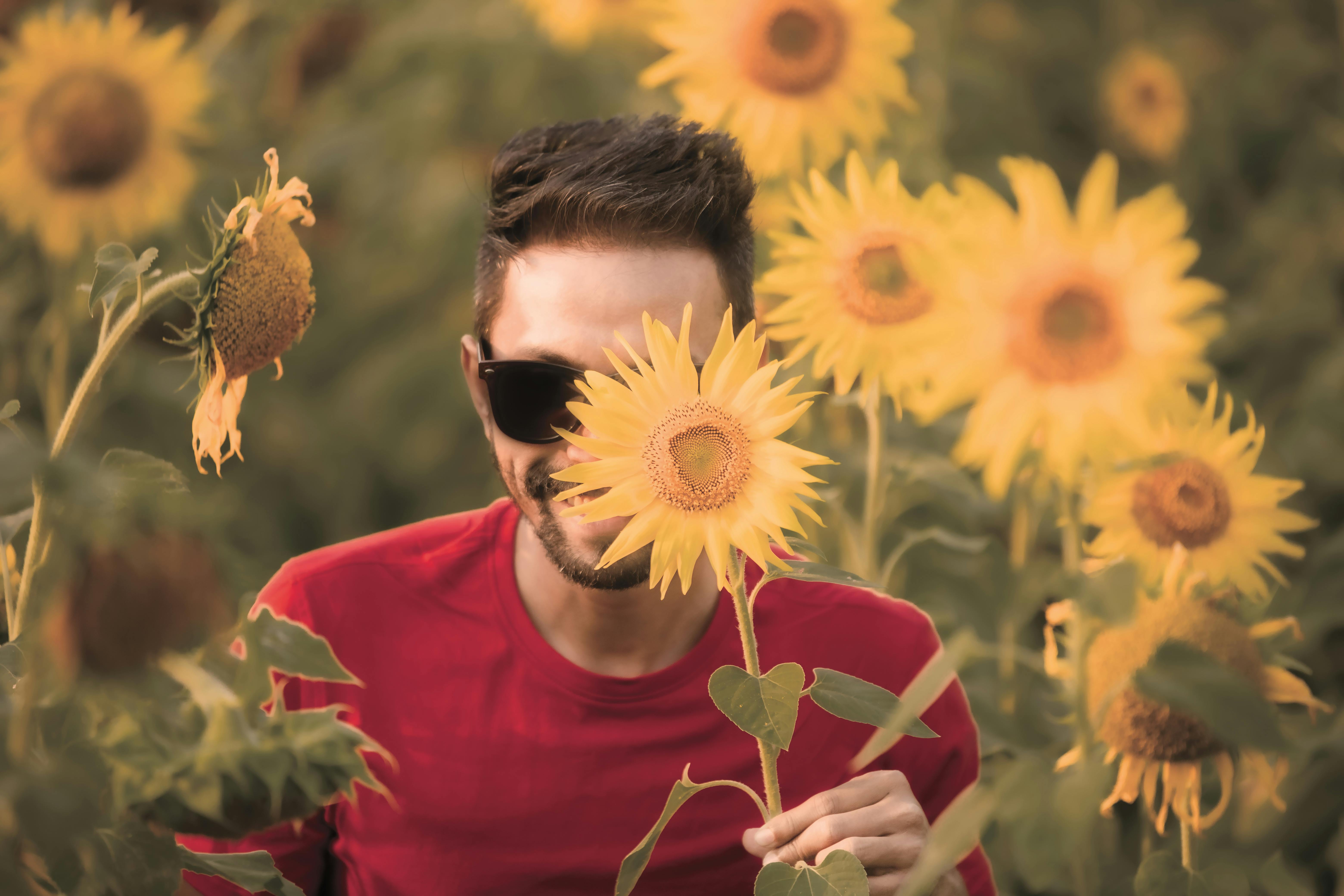 Free A stylish man in sunglasses holding a sunflower in a vibrant field. Stock Photo