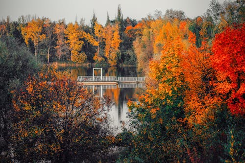 Where to See Fall Color in November: 16 Jaw-Dropping Leaf-Peeping Spots