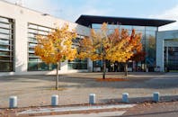 Autumn Campus Scene with Vibrant Trees
