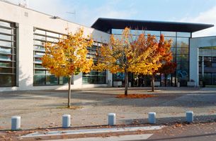École Polytechnique