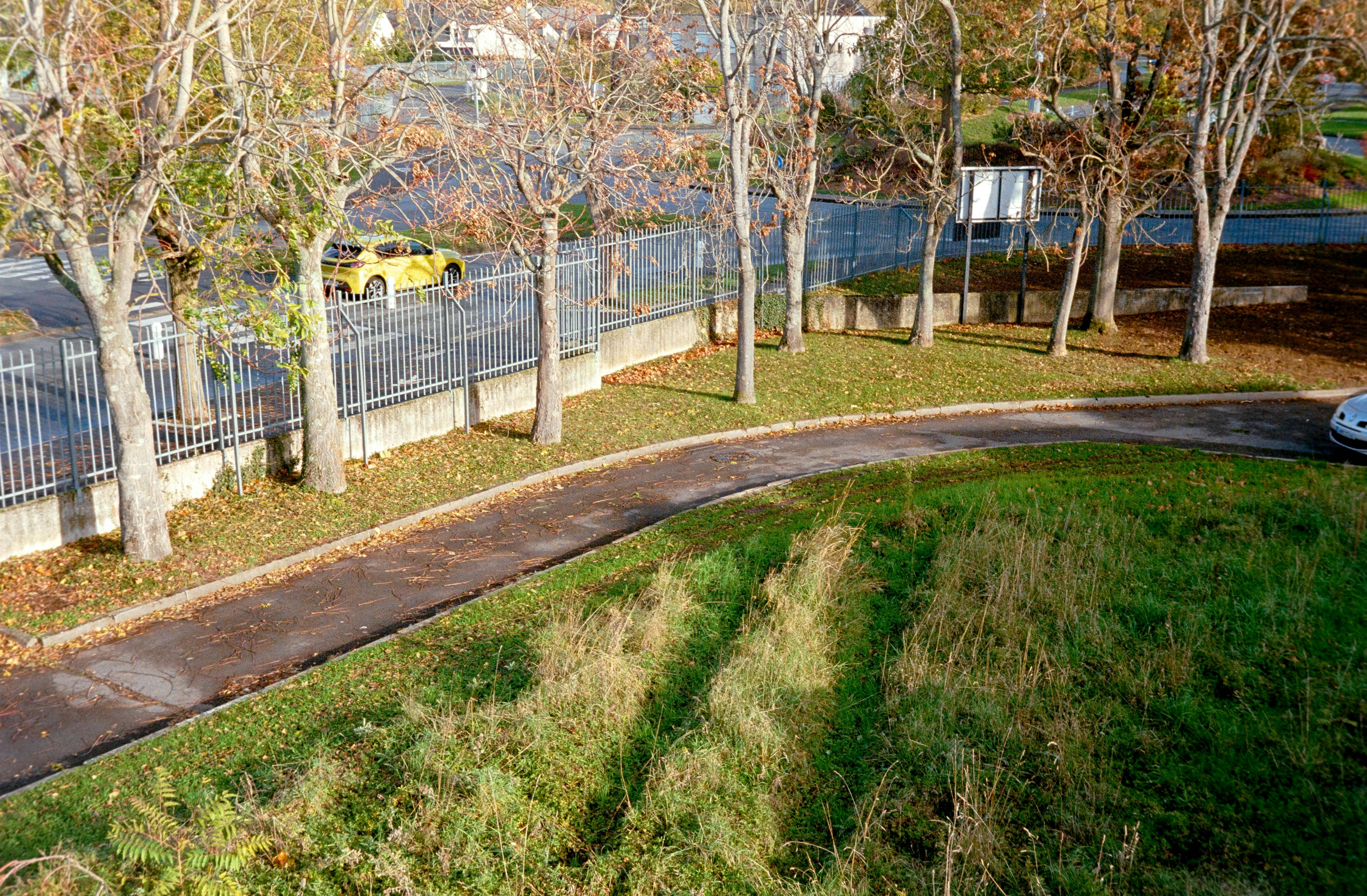 Autumn walkway through a tree-lined park in Compiègne, France, with fallen leaves and vibrant grass.