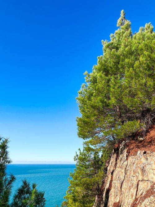 Free Scenic view of rocky coastal cliff with lush greenery overlooking the blue ocean. Stock Photo
