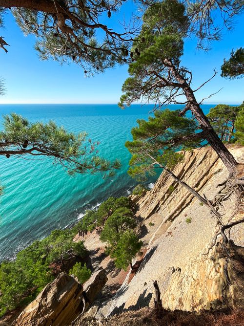 Free Breathtaking view of a coastal cliff with trees overlooking a vivid turquoise sea under a clear blue sky. Stock Photo