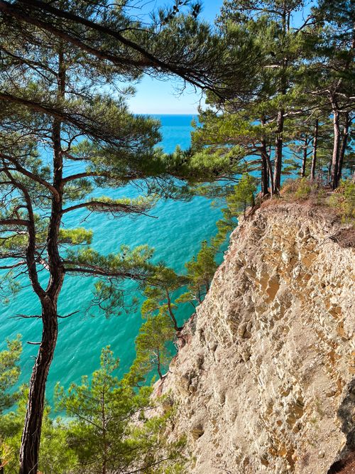 Free Stunning view of turquoise sea from a pine-covered cliff. Perfect for nature lovers. Stock Photo