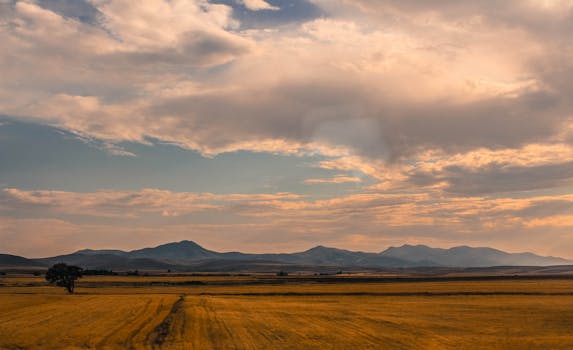 Tranquil countryside scene with lone tree and mountains under a vibrant sunset sky in Ankara.