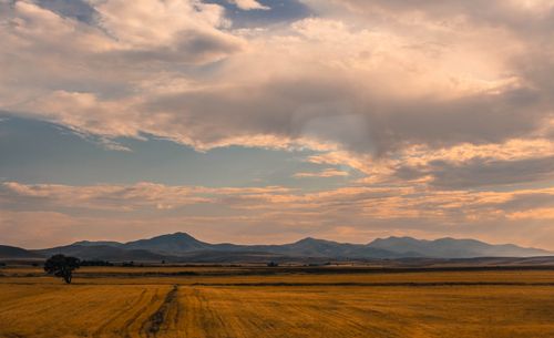 Free Tranquil countryside scene with lone tree and mountains under a vibrant sunset sky in Ankara. Stock Photo