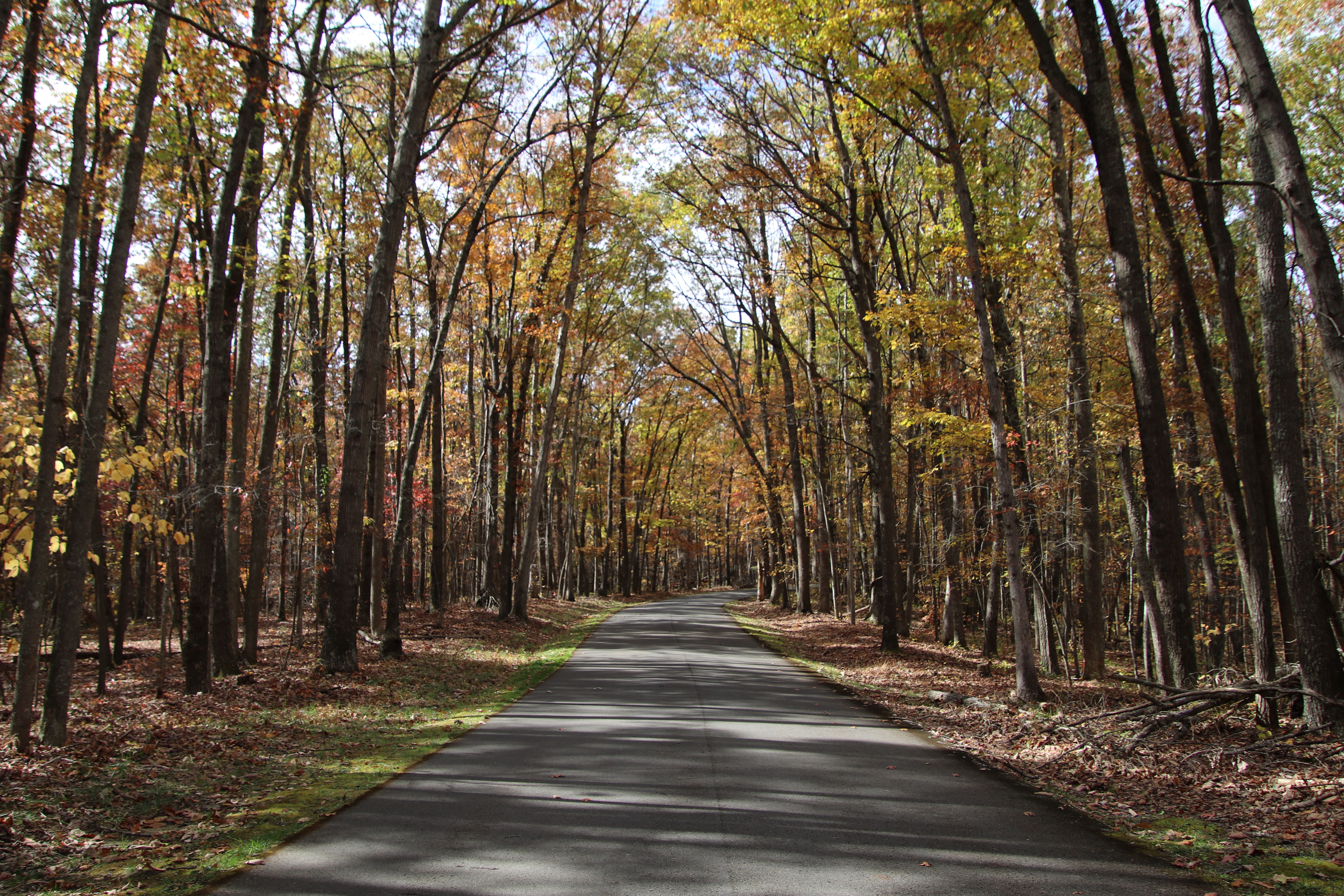 Great Parks of Hamilton County host annual kids outdoor adventure expo - FOX19 — Photo by Sinful on Pexels