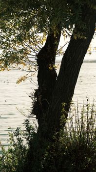 Image by Rahime Gül