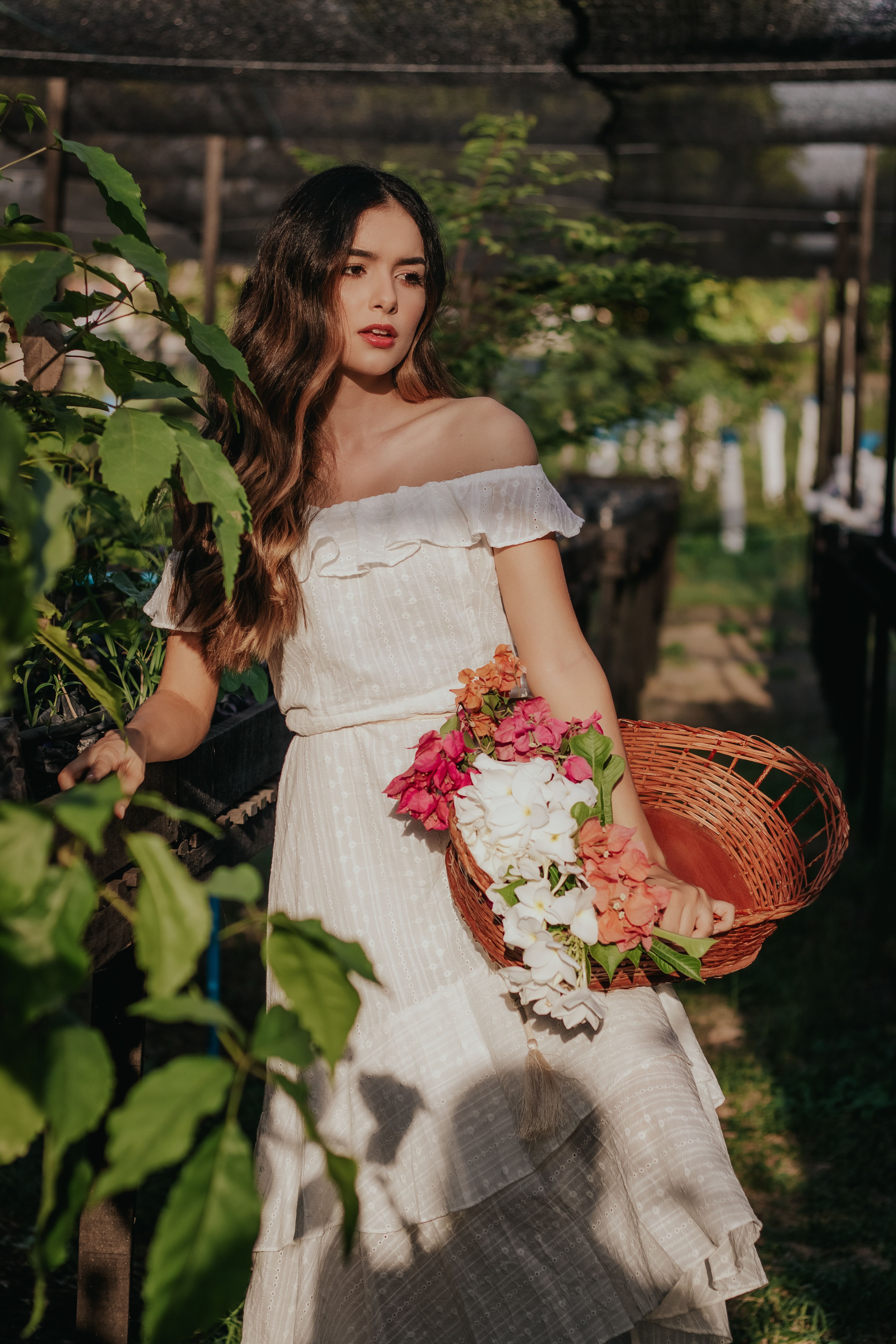 photographie-de-mise-au-point-s-lective-de-femme-v-tue-d-une-robe