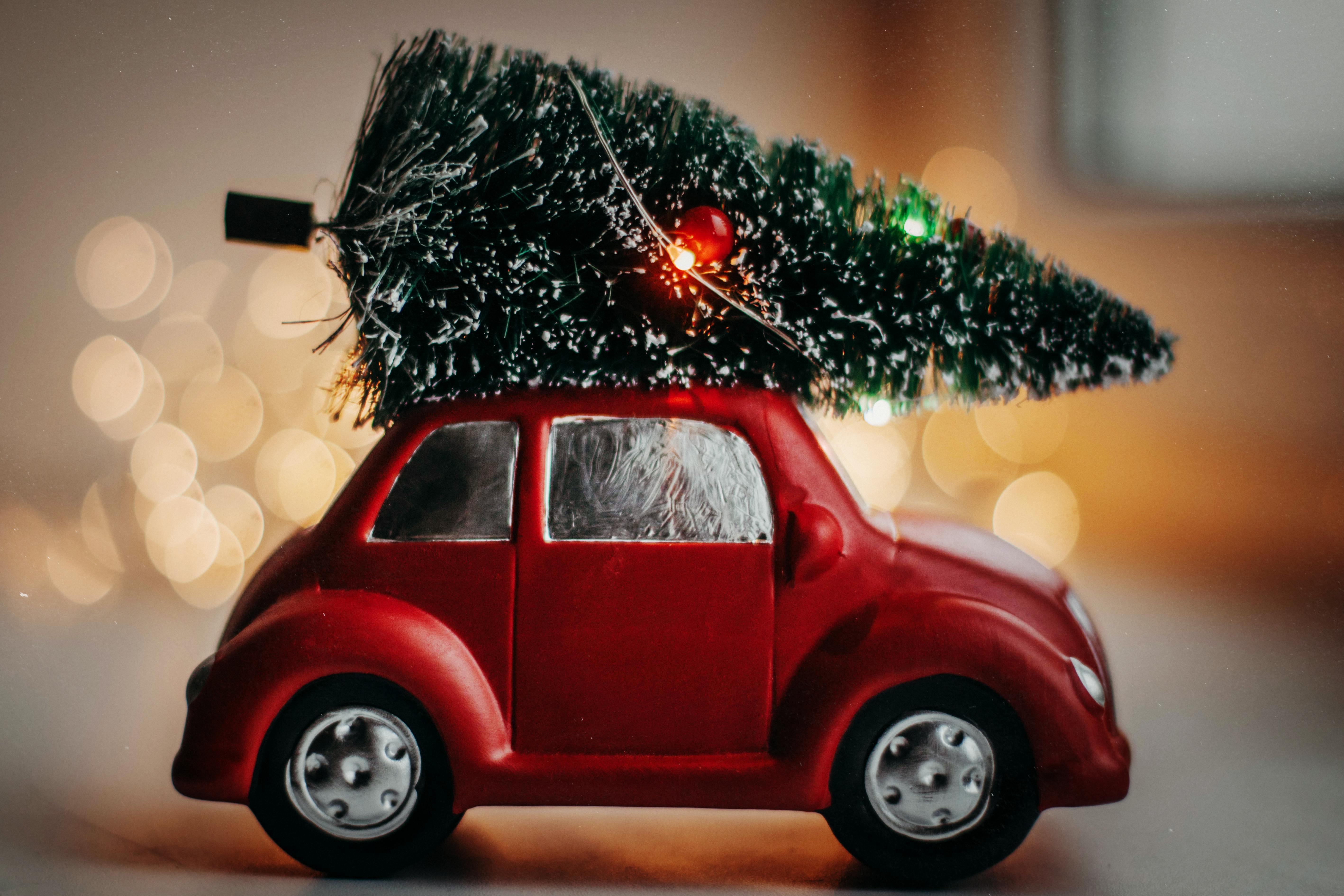 photo of miniature red car and pine tree