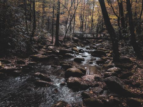 A serene autumn landscape featuring a tranquil forest stream surrounded by fall foliage and rocks.