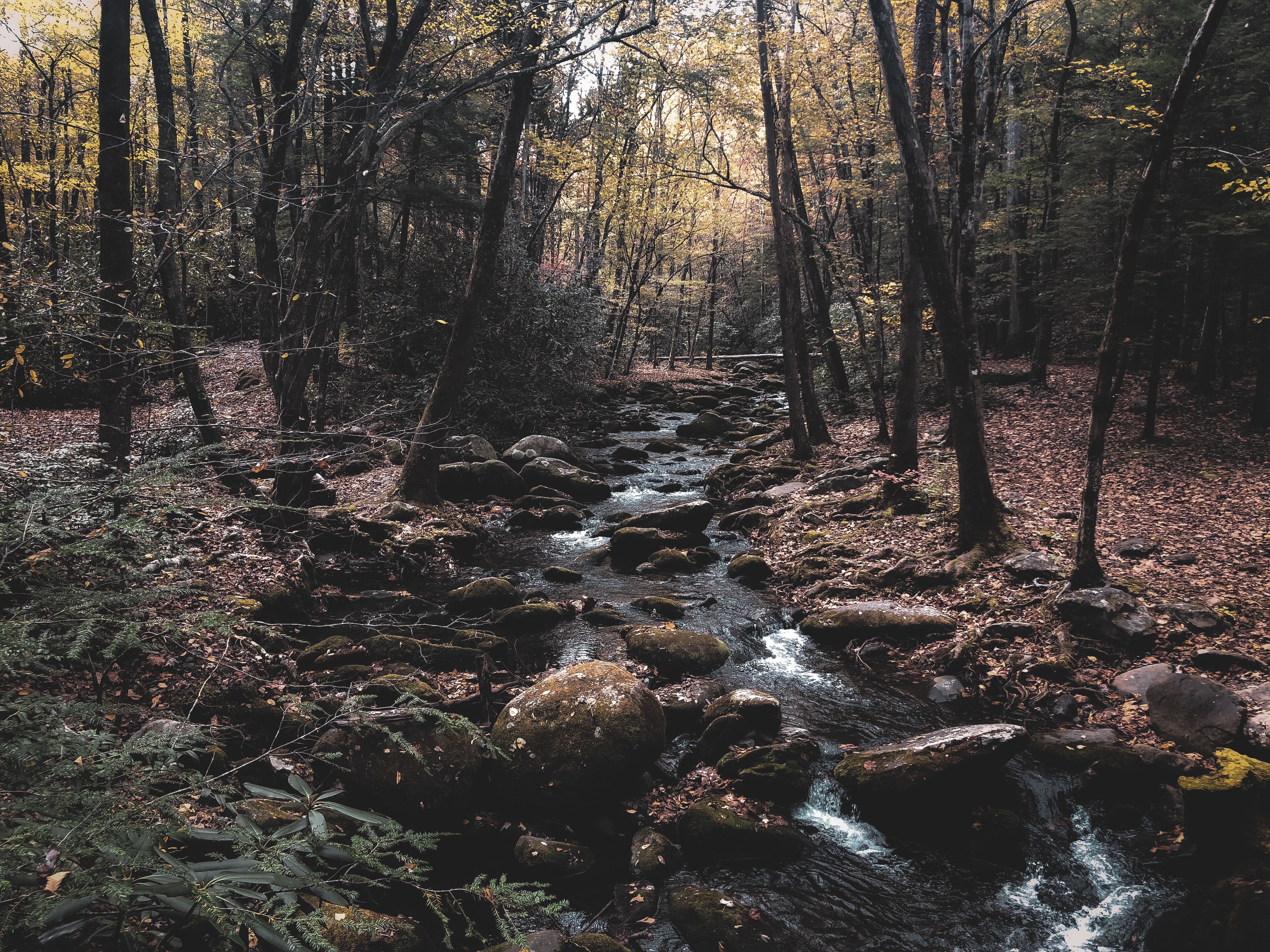 streaming discovery + — Photo by Niki Clark on Pexels