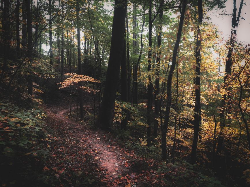 free activities to do when broke - scenic autumn hiking trail through colorful forest